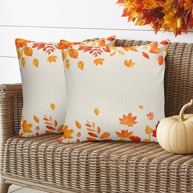 Terracotta, Apricot, Beige