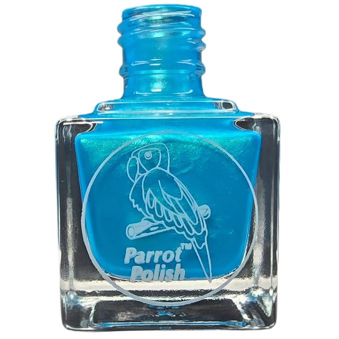 Blue Macaw