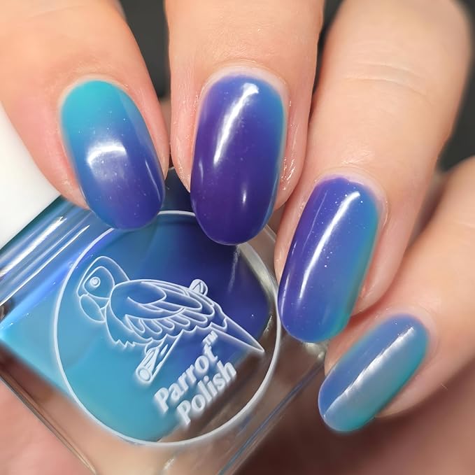 Blue Daisy