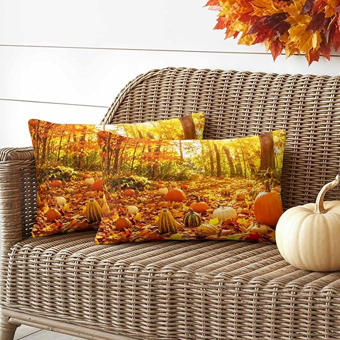Bright Pumpkin, Forest Moss, Harvest Gold, Toasted Almond