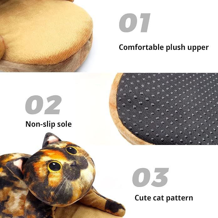 Tortoiseshell Cat