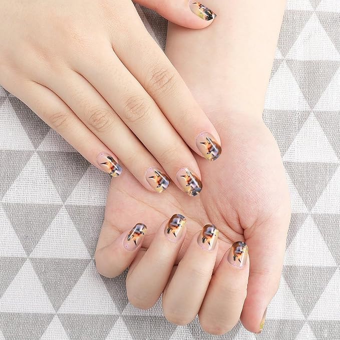 Pattern 356