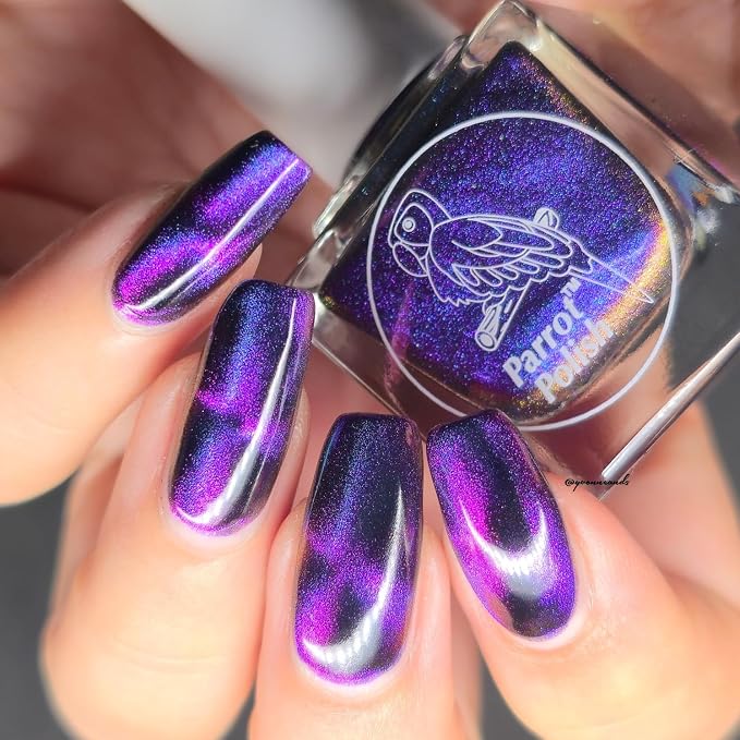 Chantilly Cat