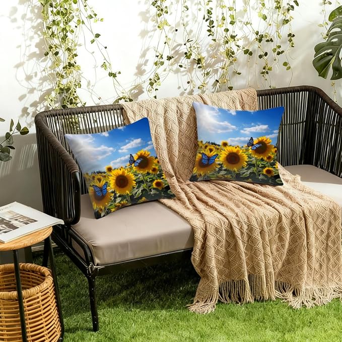 Sunflowers Butterfly Sky