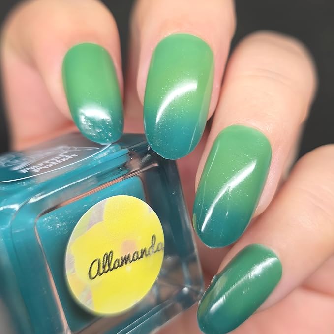 Allamanda