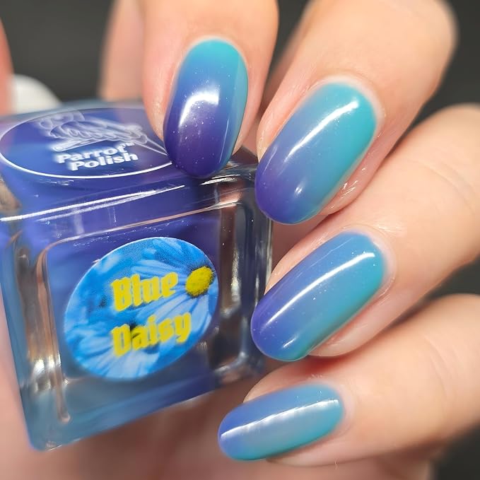 Blue Daisy