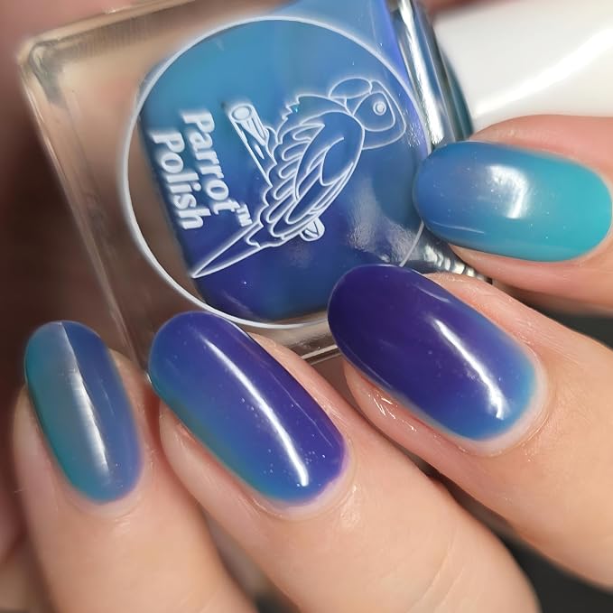Blue Daisy
