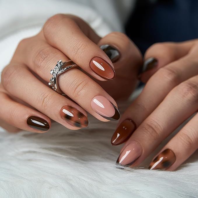 Amber Shell Dream