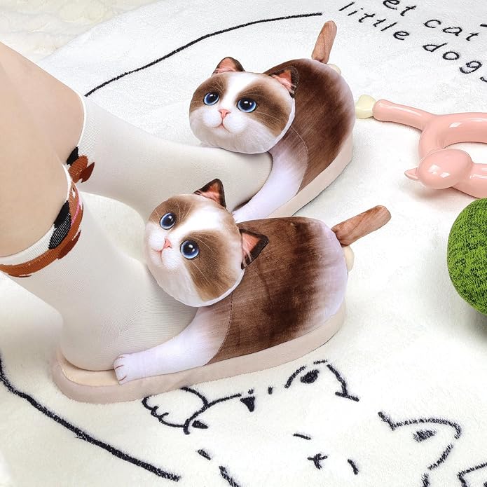 Ragdoll Cat