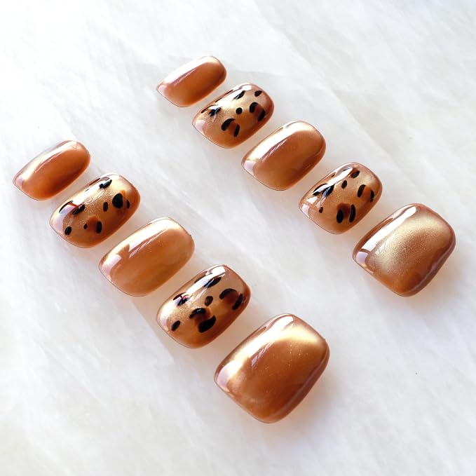 199142Leopard
