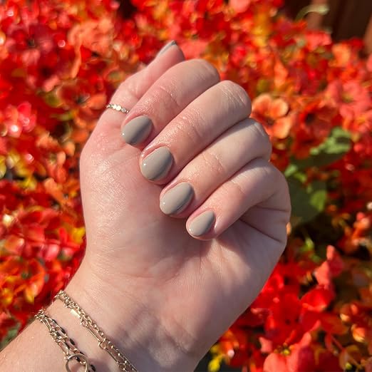 Field Fox