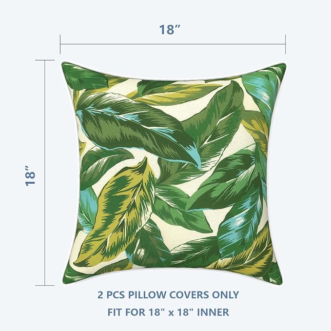 (Pack of 2)