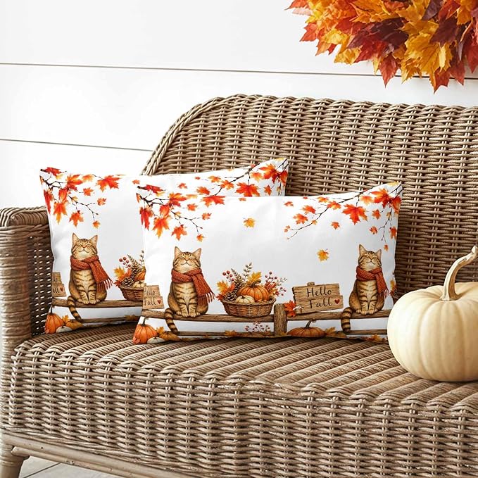 Ginger, Pumpkin, Beige, Crimson