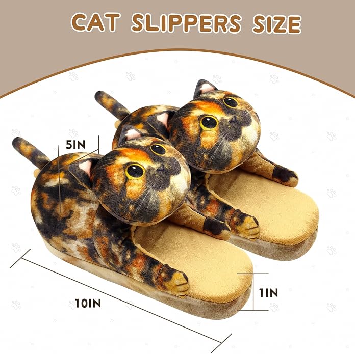 Tortoiseshell Cat