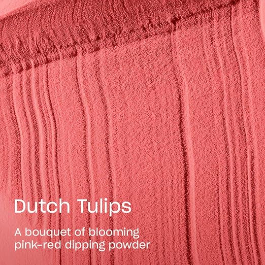 Dutch Tulips