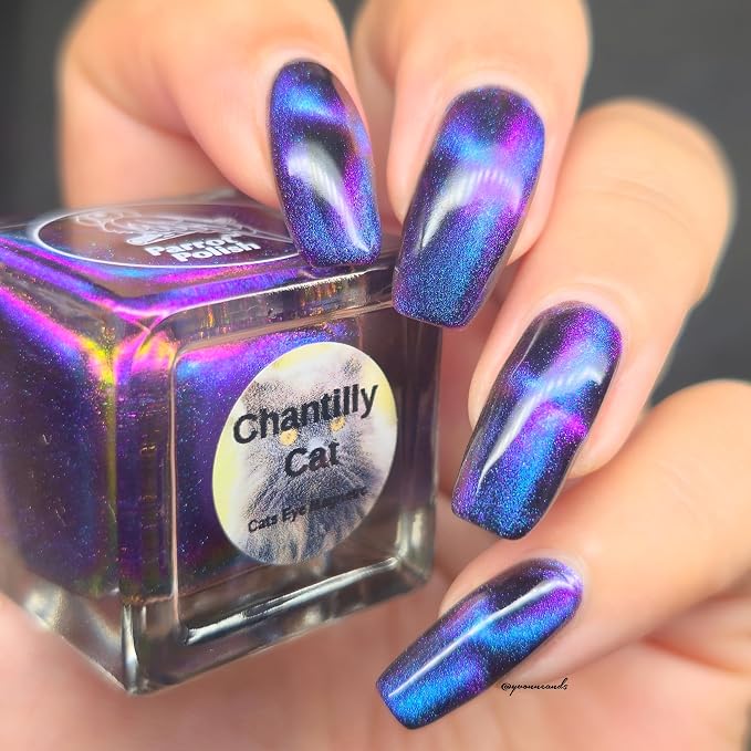 Chantilly Cat